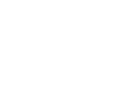 AWSE logo